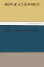 Peck's Compendium of Fun by 