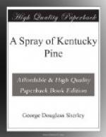 A Spray of Kentucky Pine by 