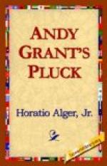 Andy Grant's Pluck by Horatio Alger, Jr.