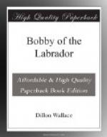 Bobby of the Labrador by 