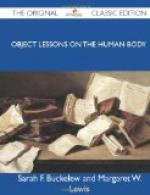 Object Lessons on the Human Body by 