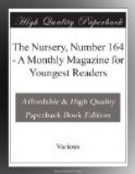 The Nursery, Number 164 by 