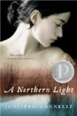 The Northern Light by 