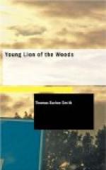 Young Lion of the Woods by 