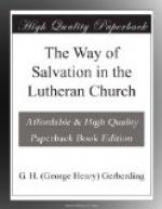 The Way of Salvation in the Lutheran Church by 