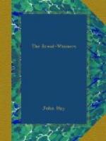 The Bread-winners by John Hay