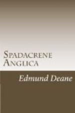 Spadacrene Anglica by 