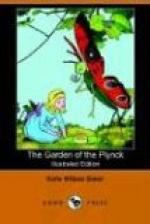 The Garden of the Plynck by 