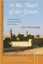 The Heart of the Desert by 