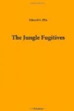 The Jungle Fugitives by 