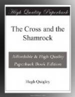 The Cross and the Shamrock by 
