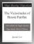 The Vicissitudes of Bessie Fairfax eBook