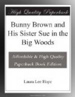 Bunny Brown and His Sister Sue in the Big Woods by Laura Lee Hope