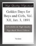 Golden Days for Boys and Girls, Vol. XII, Jan. 3, 1891 by 