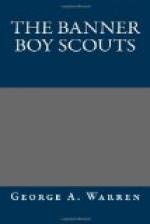 The Banner Boy Scouts by 