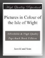 Pictures in Colour of the Isle of Wight by 