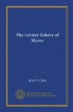 The Lobster Fishery of Maine by 