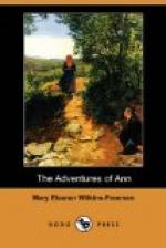 The Adventures of Ann by Mary Eleanor Wilkins Freeman