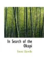 In Search of the Okapi by Ernest Glanville