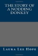 The Story of a Nodding Donkey by Laura Lee Hope