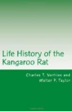 Life History of the Kangaroo Rat by 