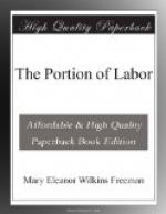 The Portion of Labor by Mary Eleanor Wilkins Freeman