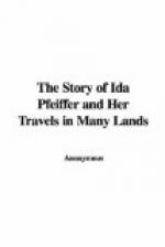 The Story of Ida Pfeiffer by 
