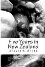 Five Years in New Zealand by 