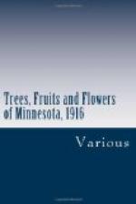 Trees, Fruits and Flowers of Minnesota, 1916 by 