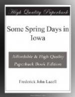 Some Spring Days in Iowa by 