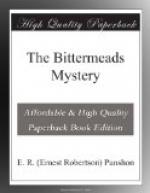 The Bittermeads Mystery by 