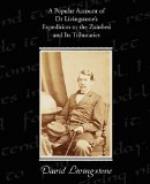 A Popular Account of Dr. Livingstone's Expedition to the Zambesi and its tributaries by David Livingstone