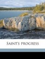Saint's Progress by John Galsworthy