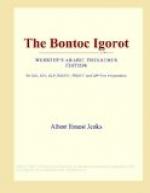 The Bontoc Igorot by 
