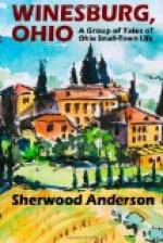 Winesburg, Ohio; a group of tales of Ohio small town life by Sherwood Anderson