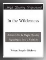 In the Wilderness by Robert Smythe Hichens