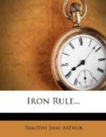 The Iron Rule by Timothy Shay Arthur