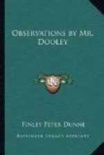 Observations By Mr. Dooley by Finley Peter Dunne