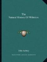 The Natural History of Wiltshire by John Aubrey