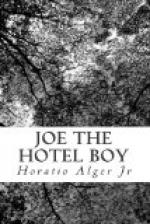 Joe the Hotel Boy by Horatio Alger, Jr.