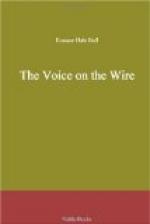 The Voice on the Wire by 