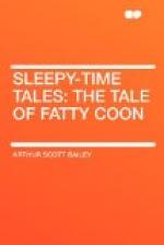 Sleepy-Time Tales: the Tale of Fatty Coon by Arthur Scott Bailey