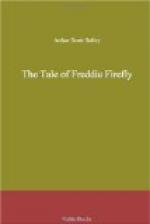 The Tale of Freddie Firefly by Arthur Scott Bailey
