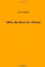 100%: the Story of a Patriot by Upton Sinclair