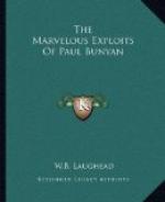 The Marvelous Exploits of Paul Bunyan by 