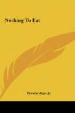 Nothing to Eat by Horatio Alger, Jr.
