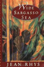 Opposing Views in Wide Sargasso Sea by Jean Rhys