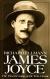 James Joyce Biography, Student Essay, and Literature Criticism by Richard Ellmann