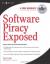 Effects of Software Piracy Student Essay and Encyclopedia Article