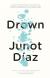 Drown Student Essay, Study Guide, and Lesson Plans by Junot Díaz